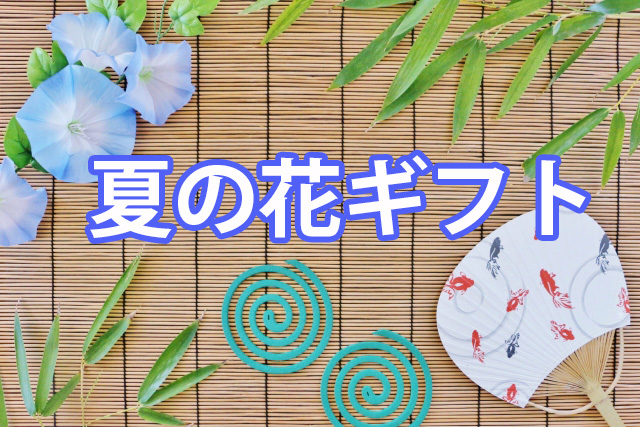 朝顔 あさがお アサガオ 鉢植え 西洋朝顔 ヘンリーブルー ６寸 誕生日 結婚記念日 ギフト 贈り物 花 花樹有 誕生日 結婚記念日 ギフト 贈り物 花 花樹有