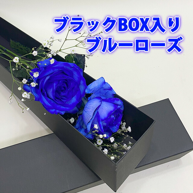 SUNTORY（サントリー） 母の日 2026 青いバラ ブルーローズ BOX