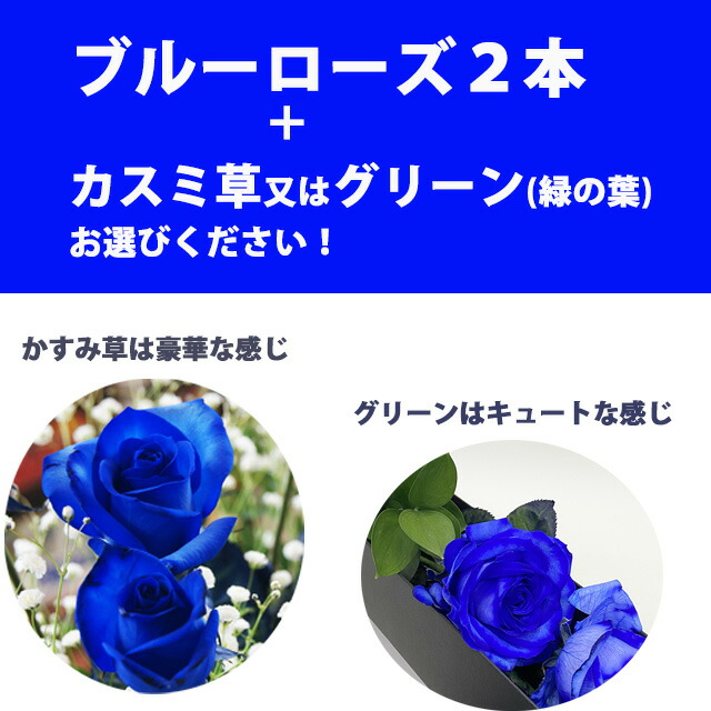 SUNTORY（サントリー） 母の日 2026 青いバラ ブルーローズ BOX
