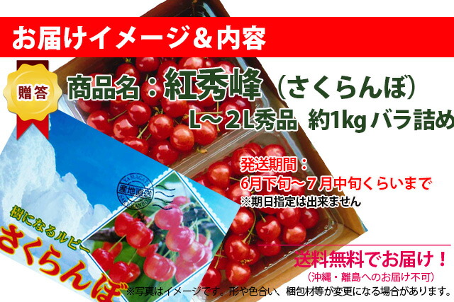 さくらんぼ　紅秀峰　山形県天童市　有機減農薬栽培　送料無料　農家直送