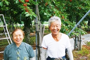 山形県産　サクランボ　佐藤錦　お取り寄せ　送料無料　フラワーギフト ネット通販花屋花樹有（かじゅある )　