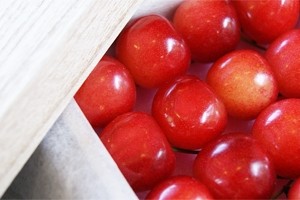 山形県産　サクランボ　佐藤錦　お取り寄せ　送料無料　フラワーギフト ネット通販花屋花樹有（かじゅある )　