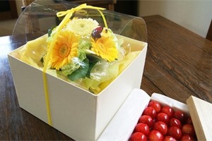 山形県産　サクランボ　佐藤錦　お取り寄せ　送料無料　フラワーギフト ネット通販花屋花樹有（かじゅある )　