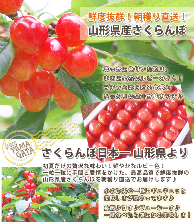 山形のうまいもの さくらんぼ