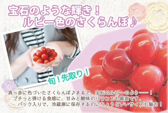 母の日　さくらんぼ　山形県産　佐藤錦