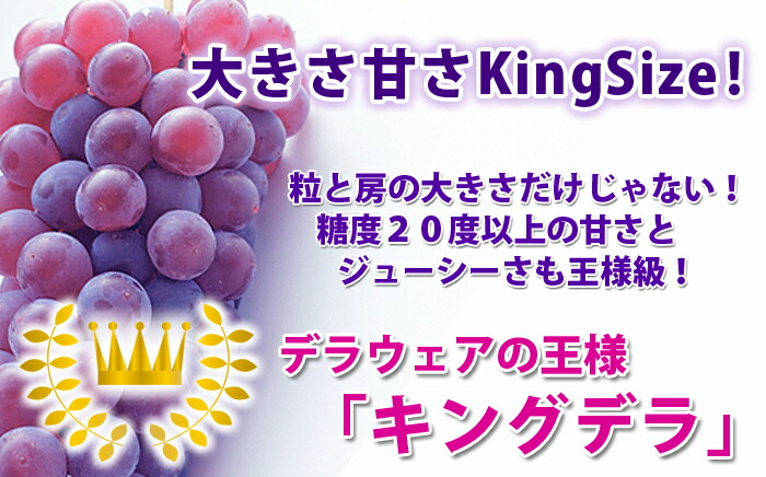 キングデラウェア