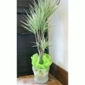 プレゼントギフト用ラッピング 送料無料 ネット通販花屋花樹有（かじゅある）