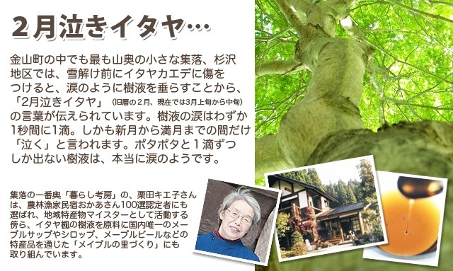 国産 無農薬 メープルシロップ 楓の雫 花 50ml 山形県 金山町産 無添加