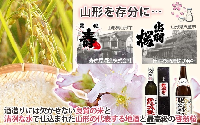啓翁桜　日本酒　花見酒セット
