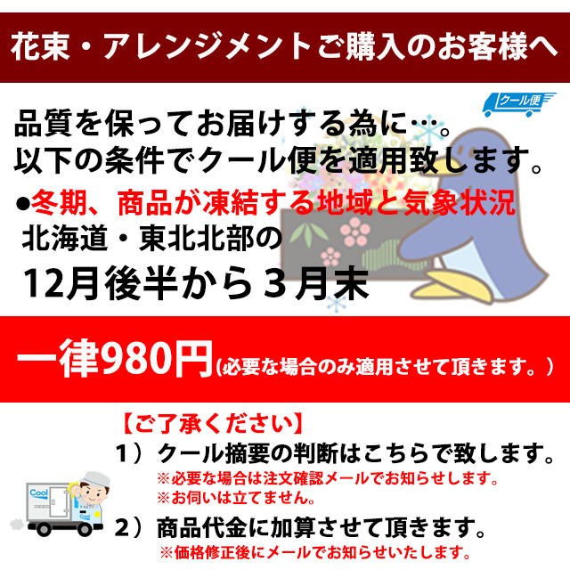 即日発送不可。最短で翌日発送もしくは在庫が無い場合は入荷後の発送となります。