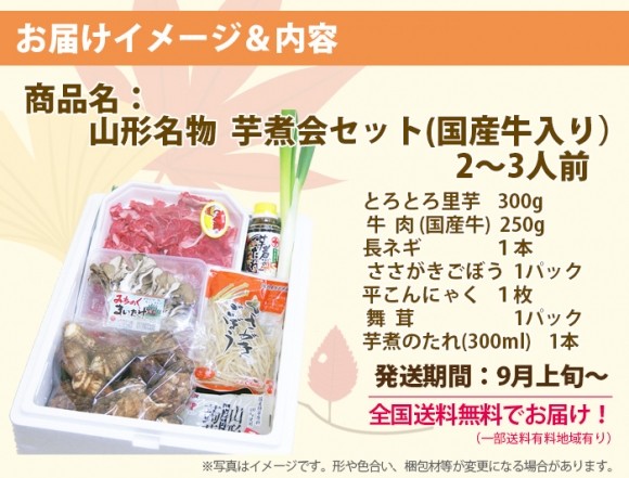 芋煮会セット　とろとろ里芋　土生芋　国産牛入り　2〜3人前　里芋・ゴボウ・コンニャク・ネギ入り　送料無料