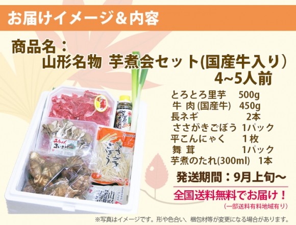 芋煮会セット　とろとろ里芋　土生芋　国産牛入り　2〜3人前　里芋・ゴボウ・コンニャク・ネギ入り　送料無料