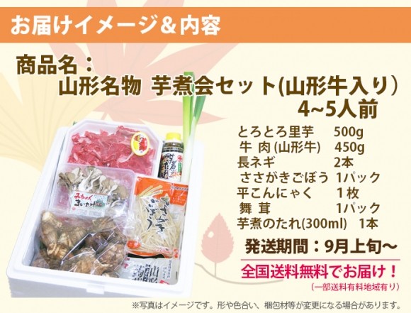 芋煮会セット　とろとろ里芋　土生芋　国産牛入り　2〜3人前　里芋・ゴボウ・コンニャク・ネギ入り　送料無料