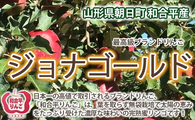 りんご リンゴ ジョナゴールド ５kg 訳あり ご家庭用 満杯詰め 有機減農薬栽培 朝日町和合平 葉取らずりんご 送料無料  :jyona-apple-w5kg:花ギフト山形産果物野菜花樹有 - 通販 - Yahoo!ショッピング