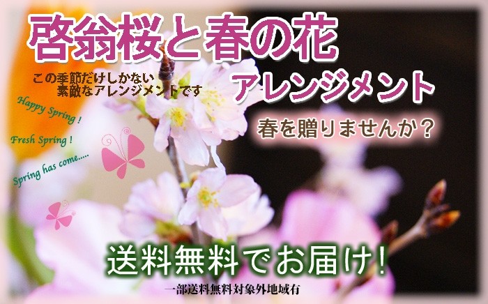 啓翁桜 切り花 山形 花束 フラワーアレンジメント ４色から選べる