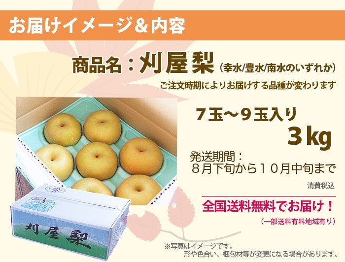 山形県酒田産　刈屋梨　幸水　豊水　南水