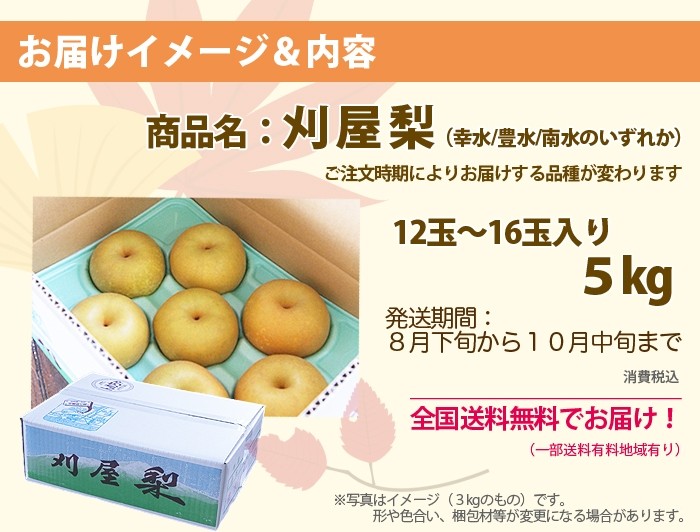 山形県酒田産　刈屋梨　幸水　豊水　南水