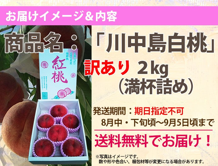 桃　川中島白桃　特秀大玉２kg　贈答品　お届け内容　山形県天童市　加藤農園の有機減農薬で栽培した安心安全の農産物　桃