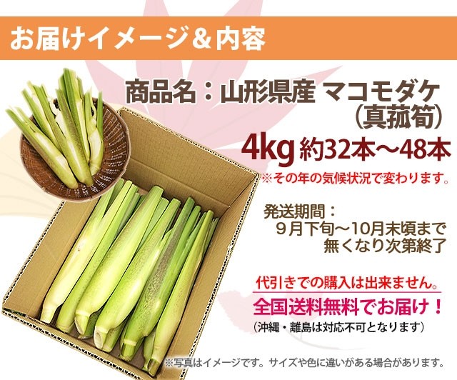 楽天市場】マコモダケ 【 4kg 約32本〜48本 】 送料無料
