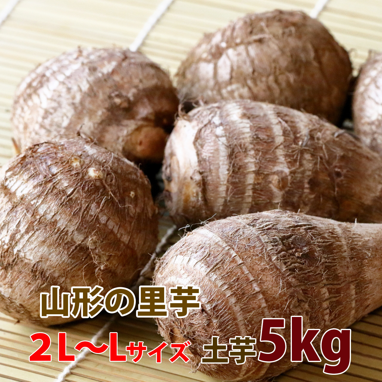 里芋 さといも 山形 秀 A品 2L 〜 L サイズ ５kg 土生芋 とちゅうだ 土付き 皮付き サトイモ 我家で採れた 里芋 山形産 送料無料｜kajuaru