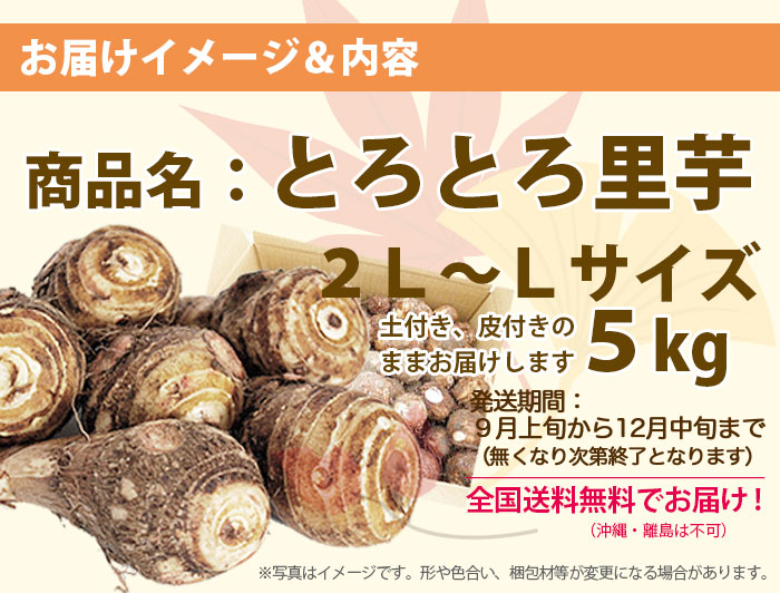 里芋　さといも　サトイモ