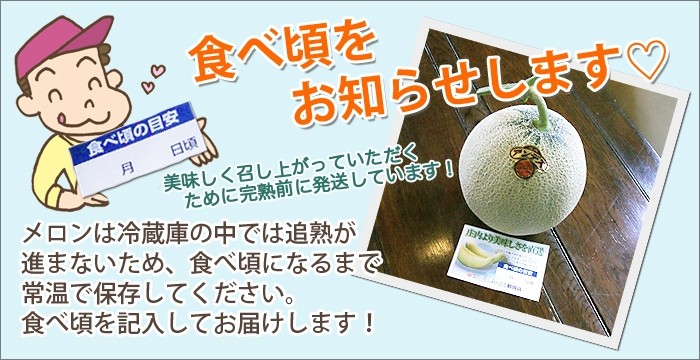 メロン アンデスメロン 秀 ３Ｌ ２個入り 庄内砂丘メロン 送料無料