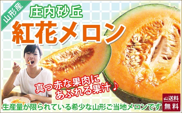 メロン 紅花メロン 秀2L 5個入り 赤肉 庄内砂丘メロン 送料