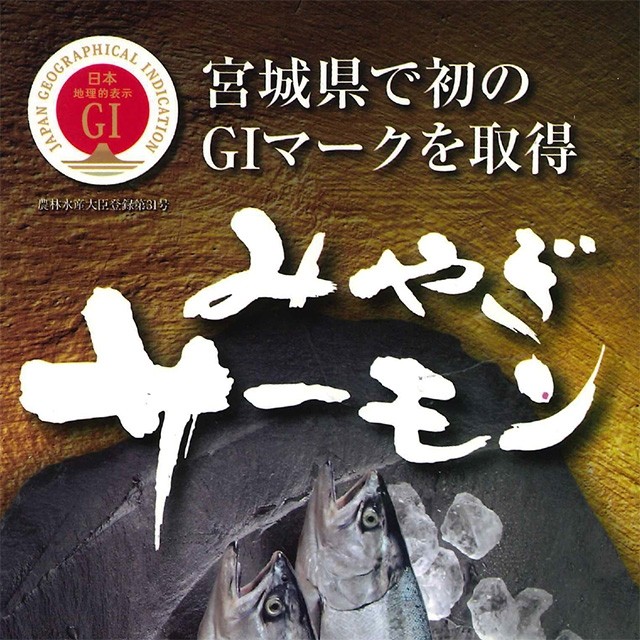 サーモン 刺身 みやぎサーモン 鮭 半身 約 1kg〜1.2kg 18人前 〜 22人前 国産 大トロ 生食用 【 銀ざけ 銀さけ 銀鮭 鮮魚