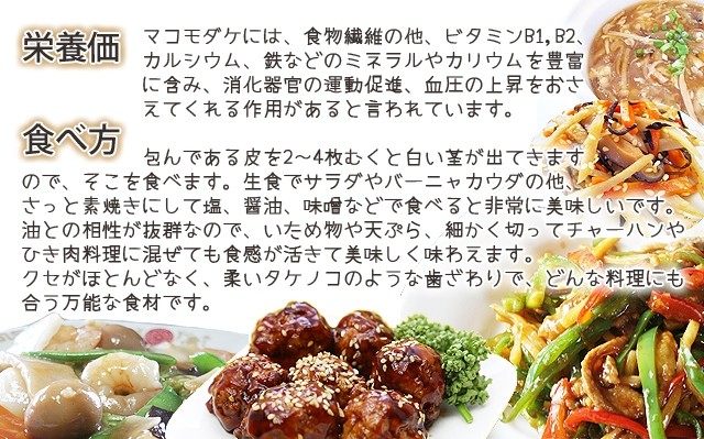 マコモダケ 4kg 約32本〜48本 送料無料 山形産 国産 真菰筍