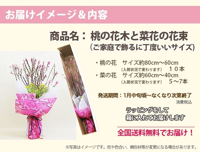 ひな祭り 節句 桃の花 菜の花 花束 家庭で飾るに丁度いいサイズ ひな祭り 雛祭り 花束 ブーケ 桃 花ギフト 送料無料 Momo Nano 35 花ギフト山形産果物野菜花樹有 通販 Yahoo ショッピング