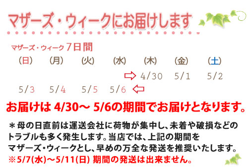 母の日父の日あじさい鉢植えプレゼントあじさい万華鏡色が選べる5寸5号篭付きラッピング無料ギフト送料無料紫陽花アジサイ 誕生日 結婚記念日 花樹有 山形の花屋 ネット通販 山形 花屋 花樹有（ かじゅある )