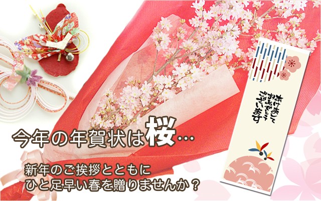 年賀状　啓翁桜