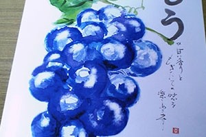 ピオーネ　パッケージ