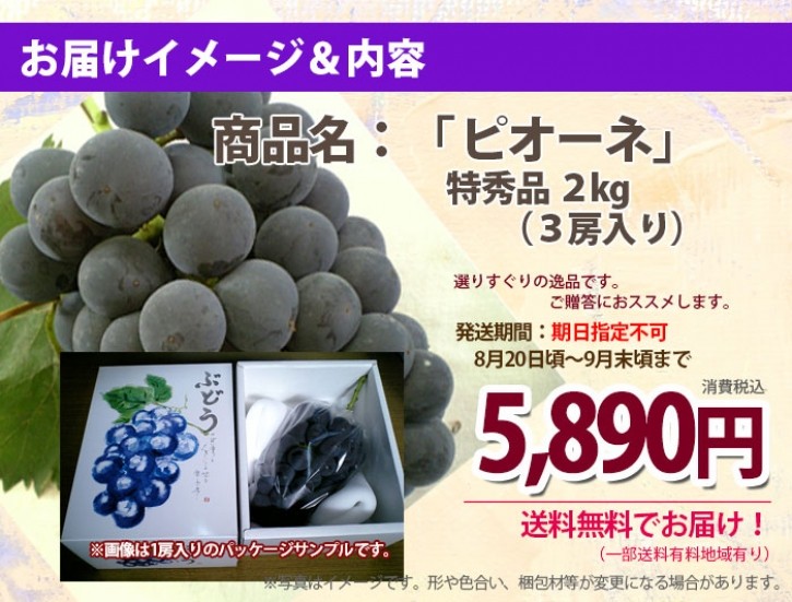 山形産　葡萄（ぶどう）ピオーネ　　お届け内容
