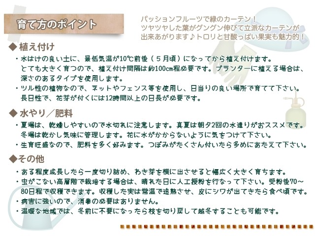 パッションフルーツ　育て方　苗木　グリーンカーテン