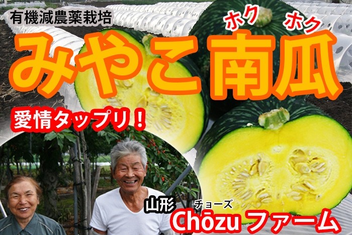 みやこ南瓜　トップ