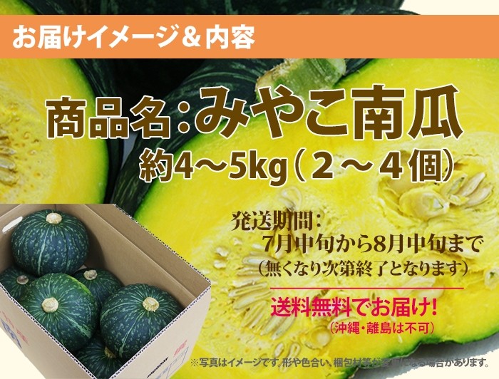 南瓜　2個　お届け内容