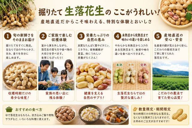 落花生 生落花生 茹で落花生 5kg おおまさり おおまさり落花生 郷の香