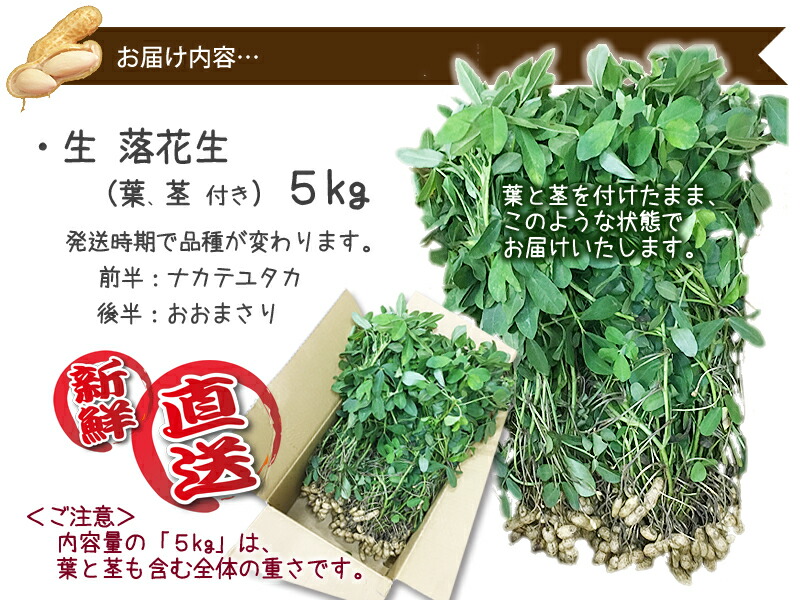 2024 予約 生落花生 山形産 品種おまかせ 5kg 殻付き 葉付 発送時期で