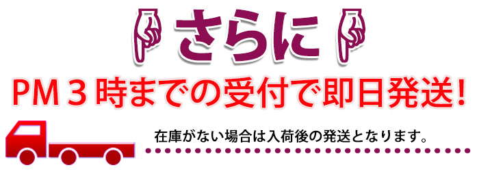 即日発送不可。在庫があれば即日発送可、在庫が無い場合は入荷後の発送となります。