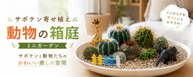 サボテン 寄せ植え インテリアグリーン アニマル