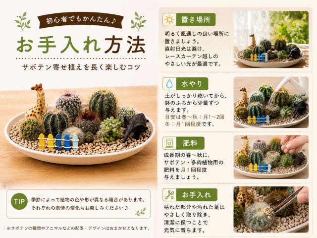 サボテン 寄せ植え インテリアグリーン アニマル