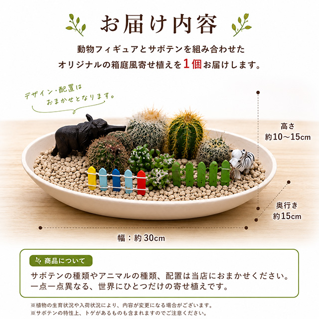 サボテン 寄せ植え インテリアグリーン アニマル