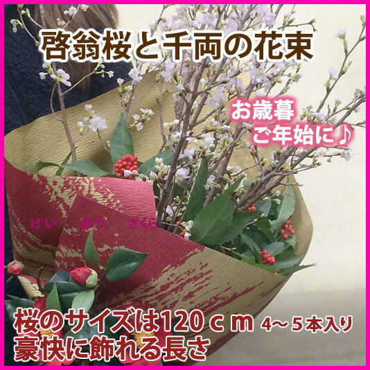 啓翁桜、けいおうざくら、ケイオウザクラ 山形特産 日本で一番早く咲く桜を全国発送