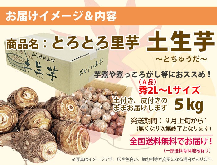 里芋 さといも 山形 秀 A品 2L 〜 L サイズ ５kg 土生芋 とちゅうだ 土付き 皮付き サトイモ 我家で採れた 里芋 山形産 送料無料  :11fm254:花ギフト山形産果物野菜花樹有 - 通販 - Yahoo!ショッピング