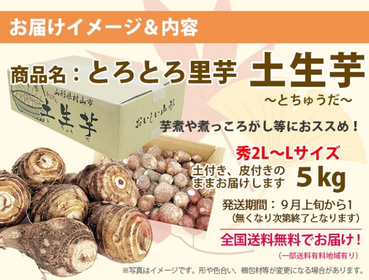 山形県産　とろとろ里芋　芋煮会　産直　お取り寄せ