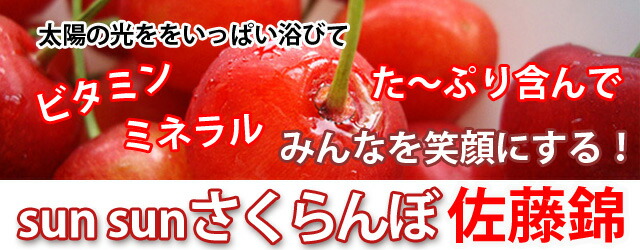 さくらんぼ 佐藤錦 送料無料 サクランボ 山形 夢 LA (A-000) 600g 手詰め 贈答用 訳あり ギフト 父の日 佐藤N 山形産 農家直送  :satou-yume-8400-u:花ギフト山形産果物野菜花樹有 - 通販 - Yahoo!ショッピング