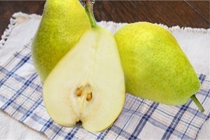 シルバーベル 洋梨 ラフランス 産直 お取り寄せ 山形