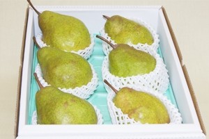 シルバーベル 洋梨 ラフランス 産直 お取り寄せ 山形