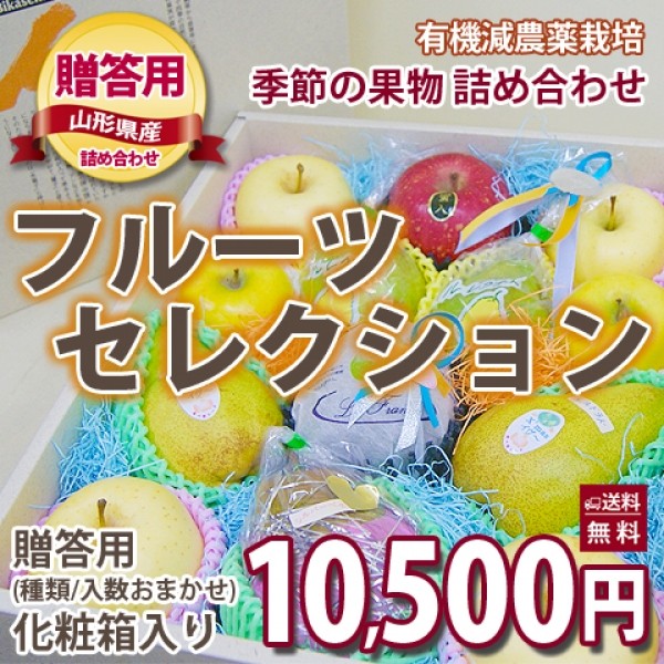果物フルーツ詰め合わせ